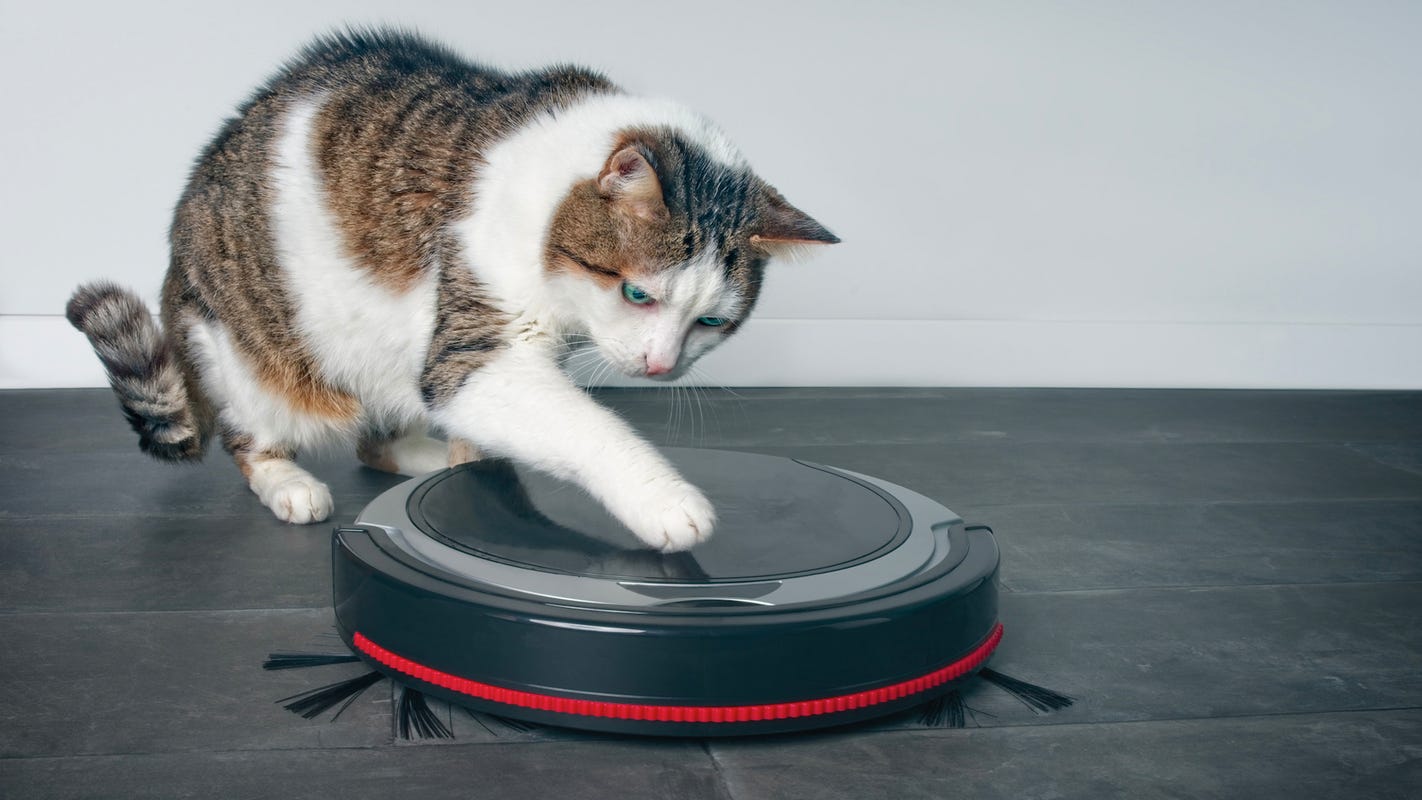 The Best Robot Vacuums For Pet Hair 2020 Neato Irobot Roomba More