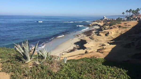 View of La Jolla beach.