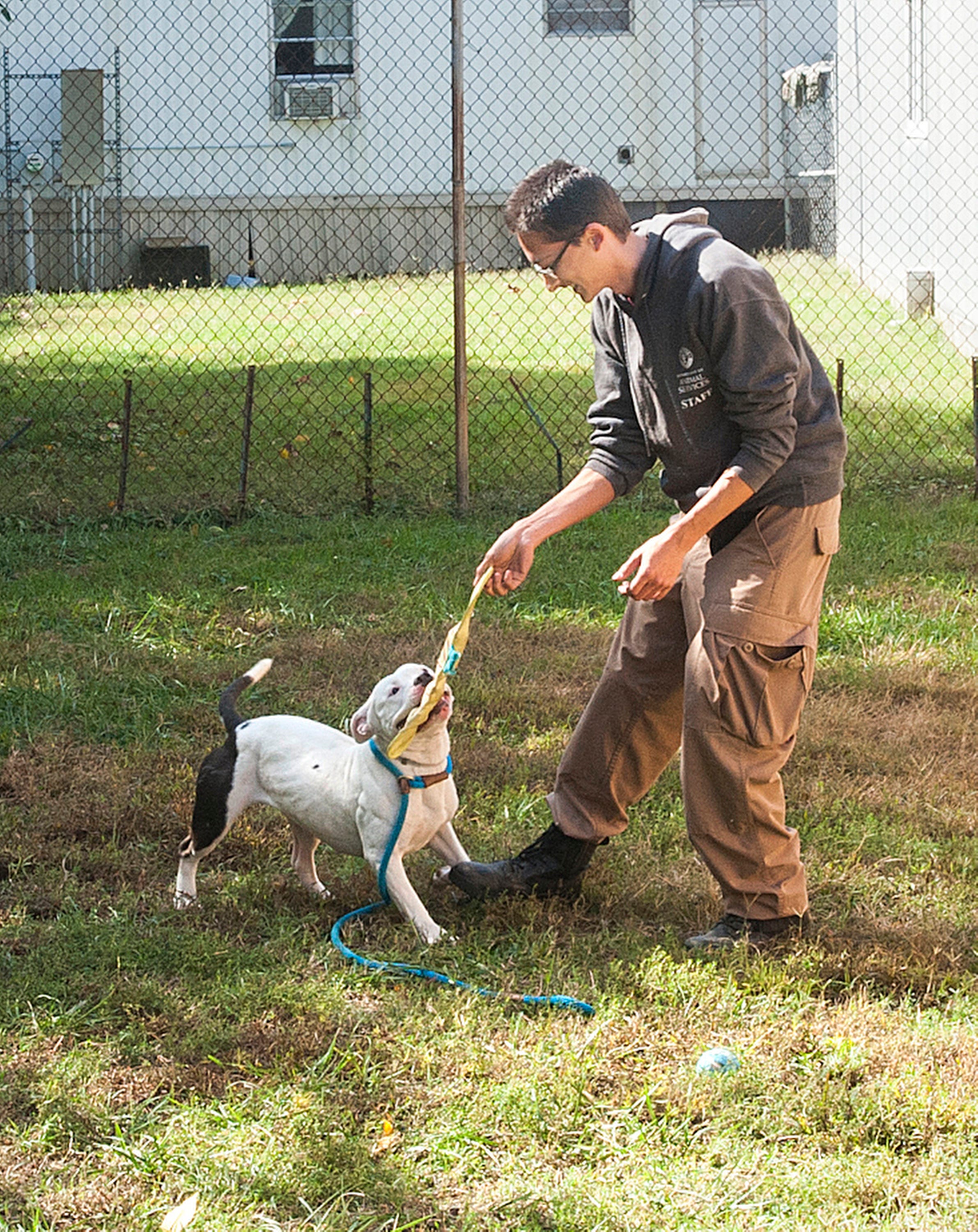 Louisville animal shelter Facility opens after years of need