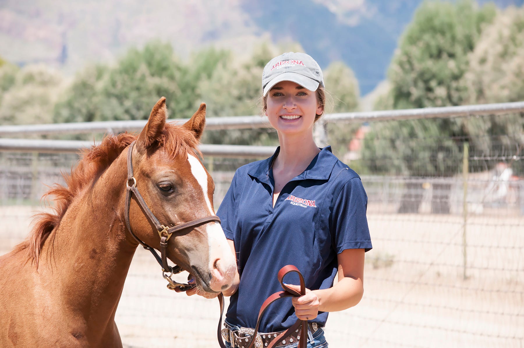 University of Arizona's new veterinary school will open next year