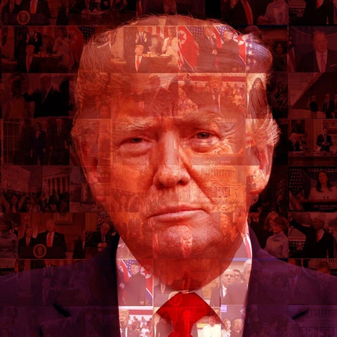 Trump portrait