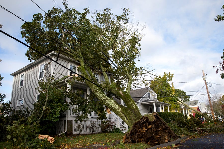 A house is trapped under a tree that toppled from strong winds, Oct. 17, 2019, in Danvers, Mass.