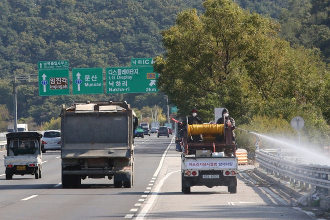 Disinfectant solution is sprayed from a vehicle as a precaution against African swine fever on the road in Paju, South Korea, near the border with North Korea, Tuesday, Oct. 15, 2019. Amid swine fever scare that grips both Koreas, South Korea is deploying snipers, installing traps and flying drones along the rivals' tense border to kill wild boars that some experts say may have spread the animal disease from north to south.
