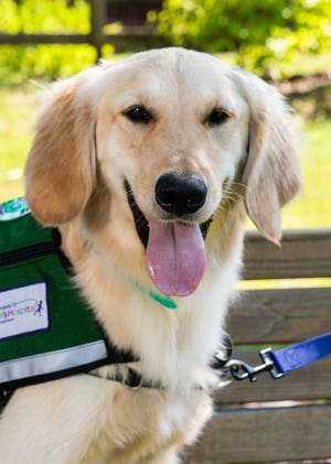 IMPACT 100 grant paves way for therapy dog Sherlock at Studer Family Children’s Hospital.