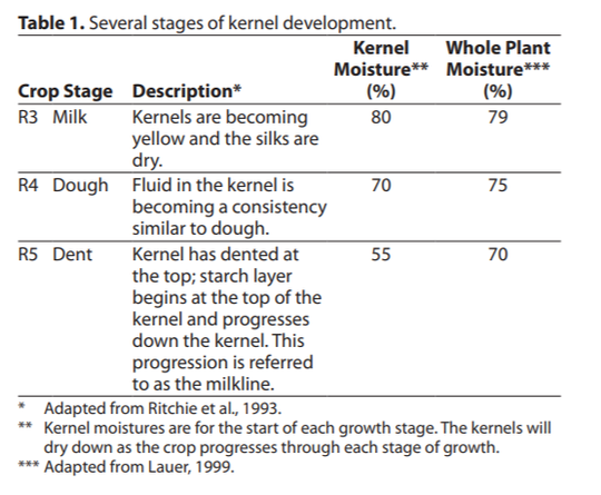 Management of corn damaged by frost will depend on the
stage of growth at the time of frost.
