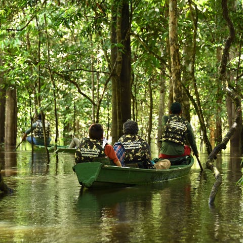 Tourists sail in the flooded Amazon rainforest at 