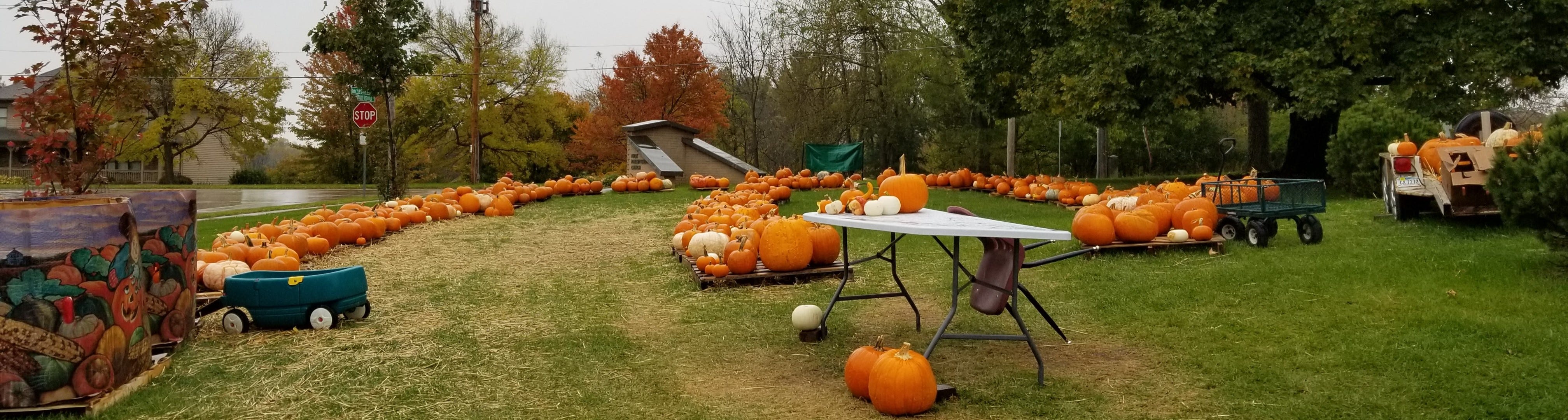 A look at 7 pumpkin patches to visit in eastern Iowa this fall
