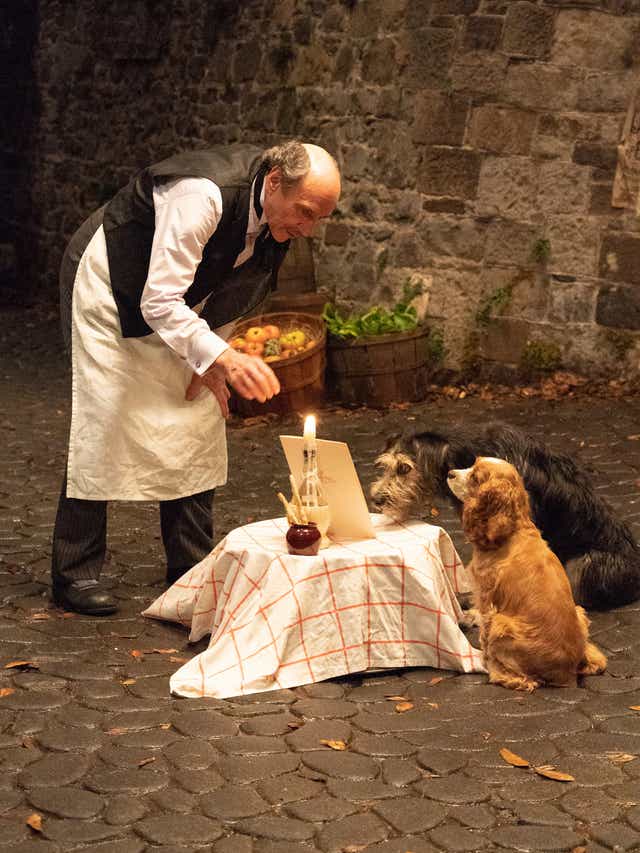 Wallpaper Disney Lady And The Tramp How Dog Stars Remade The Classic Dinner For Android Free