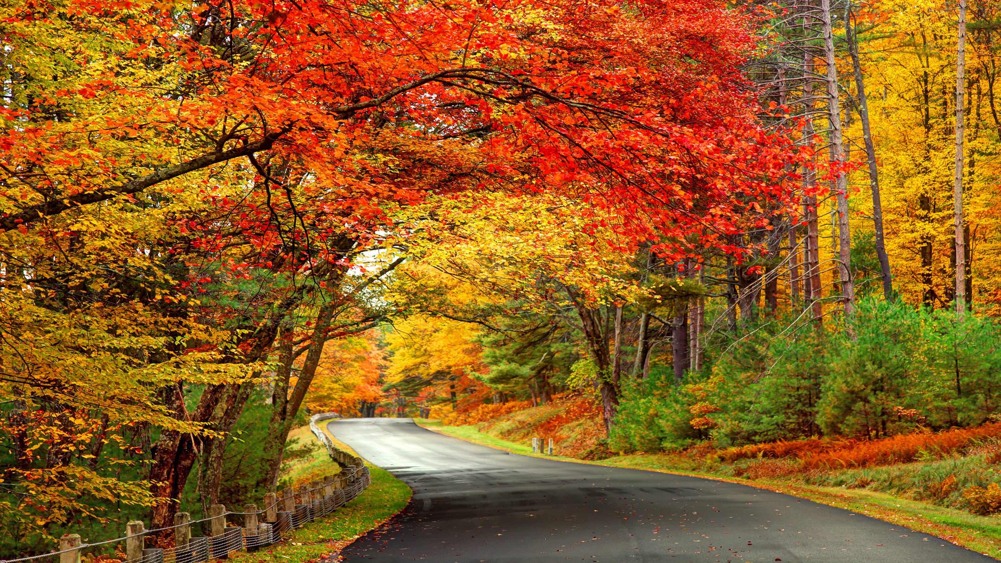 10 places to go leaf peeping this fall