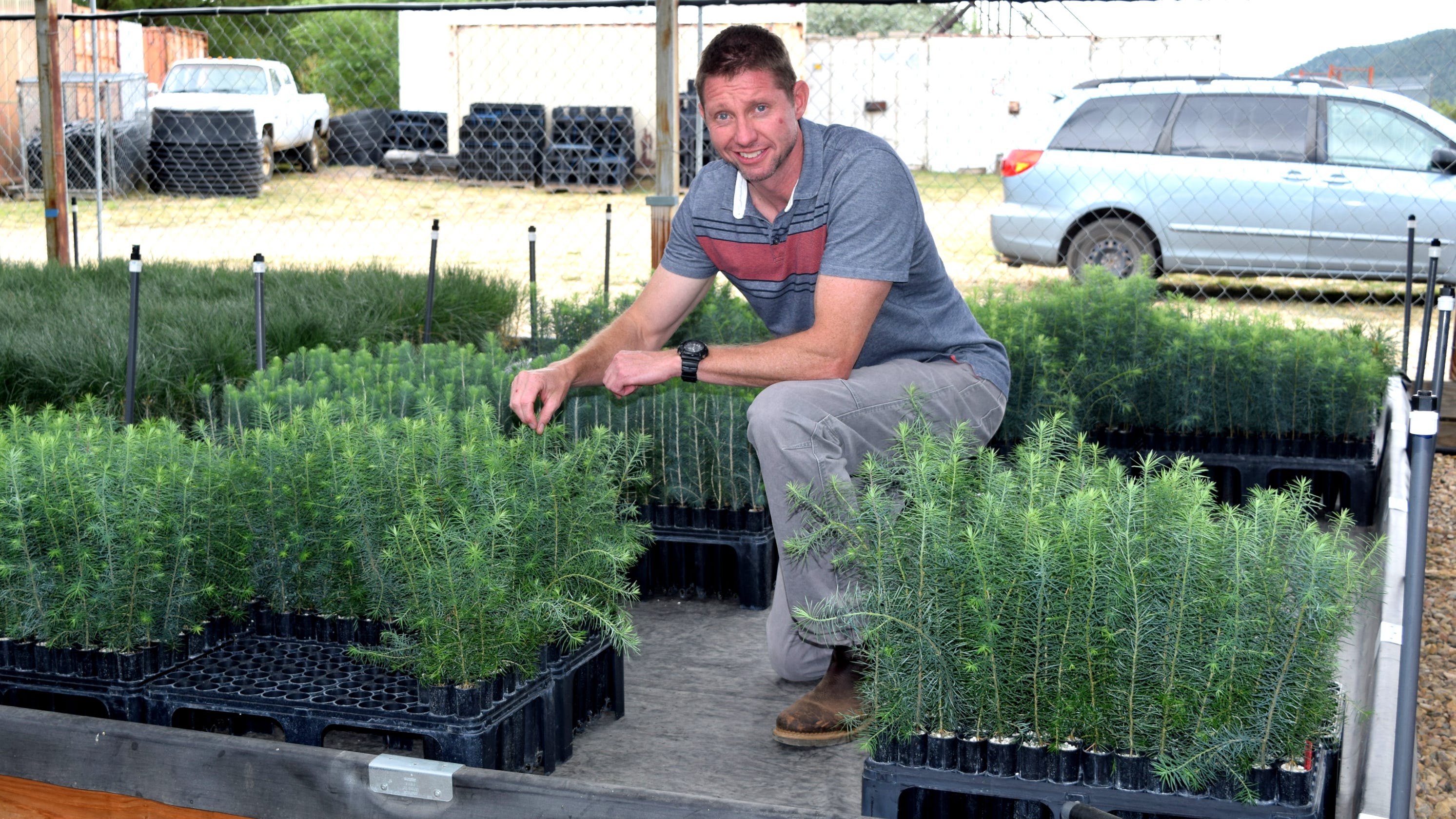 NMSU research proving ‘tough love’ helps tree seedlings survive harsh environments - Las Cruces Sun-News