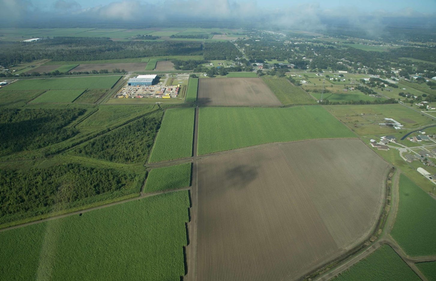 The planned site of the resettlement community for Isle de Jean Charles residents in Schriever, La.