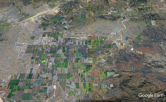 A map displaying all the areas growing industrial hemp on the Oxnard plain west of the city of Oxnard and south of the city of Camarillo. Hemp grows are outlined in green.