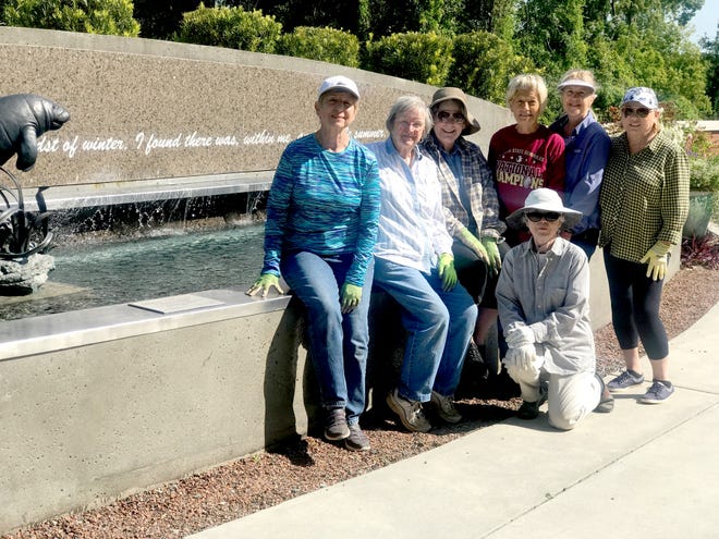 Volunteers from the Tallahassee Garden Club caring for plants in the Cancer Center’s Healing Garden include Jane Berry, Maye Walker, Sue Hobbs, Beth Green, Robin Walls, Joan Stout, and ( kneeling) Marty Quinn.