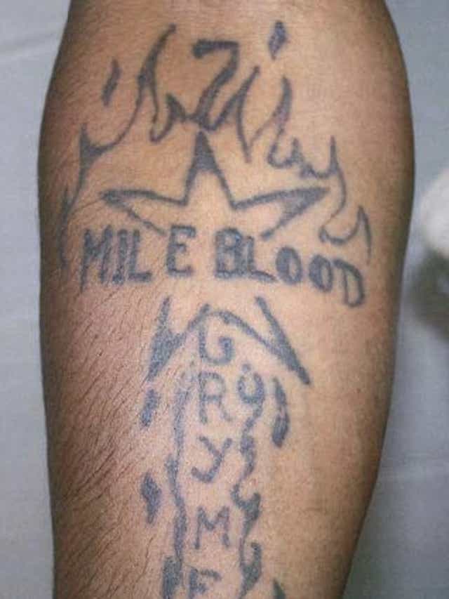 Seven Mile Bloods Members Face Prison In Detroit Gang Crackdown