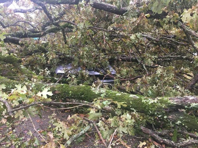 Chancy Gray's car was crushed by a falling tree during a powerful storm in Adamsville, Tenn. on Oct. 26, 2019.