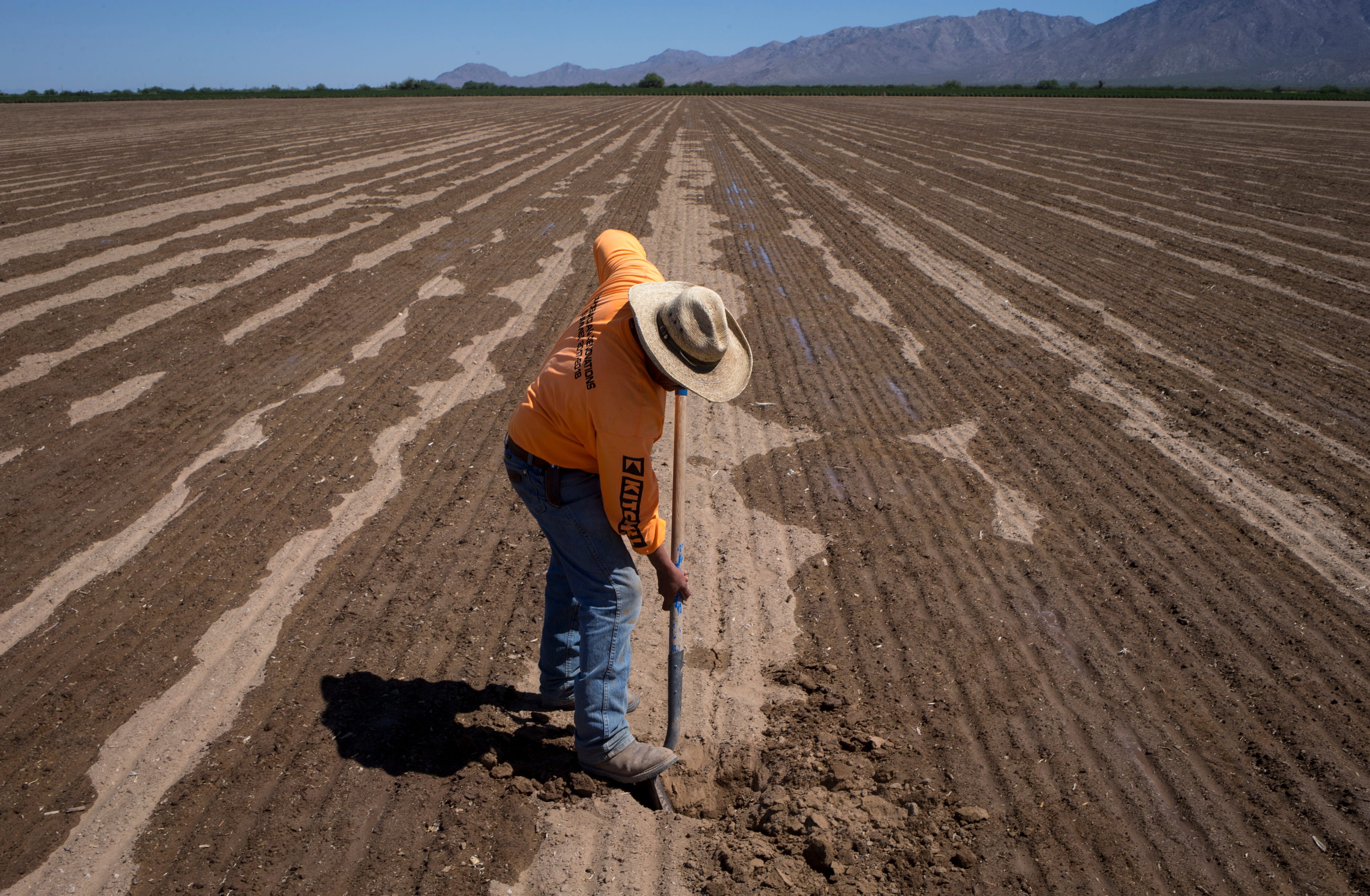 Abraham Perez tests irrigation tape on a newly planted alfalfa field at LKH Farming’s Urrea Farm near Wenden.