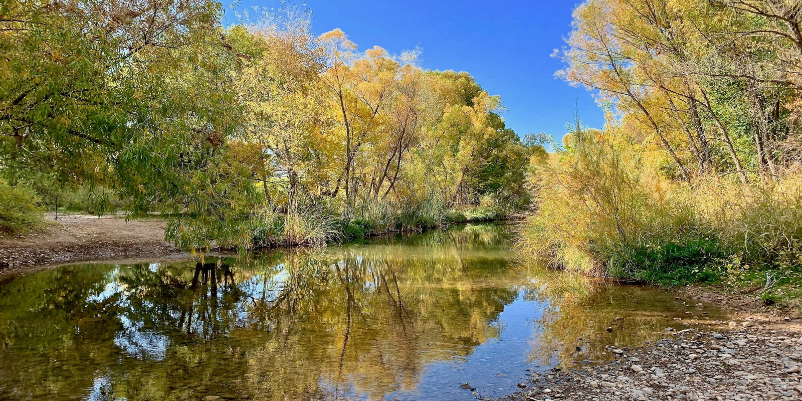 Nina Mason Pulliam trust donates nearly $600,000 to protect water supply in Verde River - AZCentral