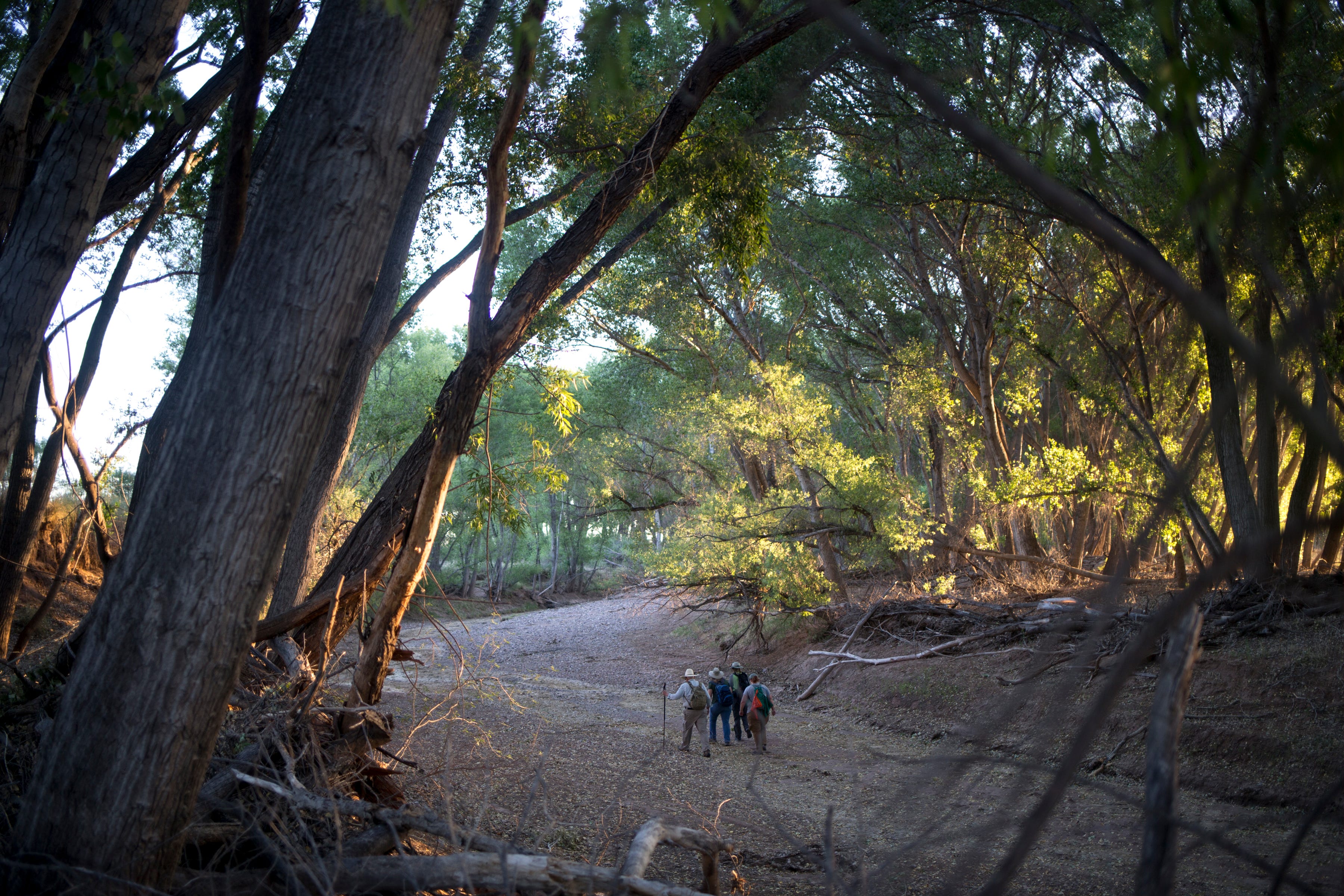 A team of volunteers heads north near the Arizona-Mexico border in June, mapping wet and dry stretches of the San Pedro River. This year was the 21st annual wet-dry mapping of the river.