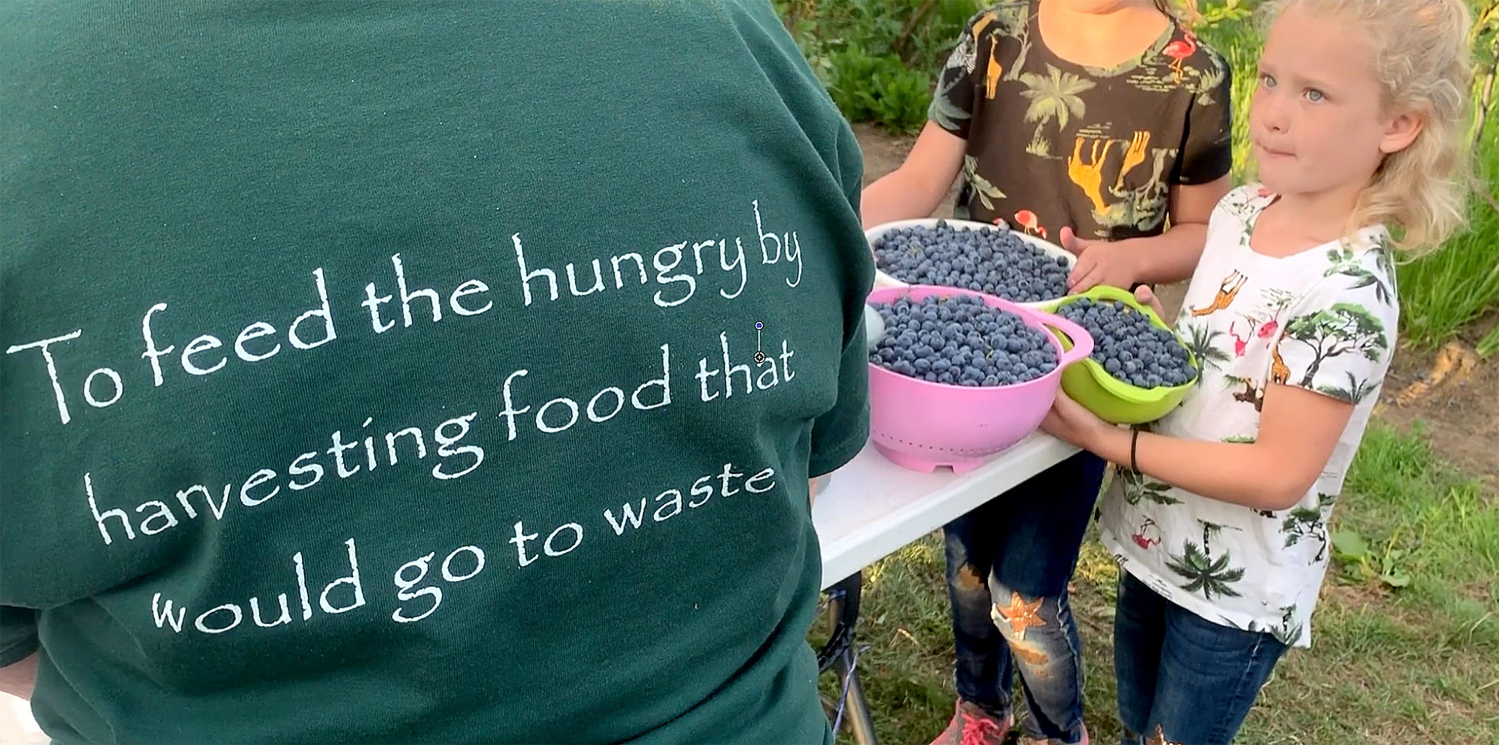 The mission of Salem Harvest is seen on the back of a t-shirt as volunteers pick blueberries at a farm near Gervais, Oregon.