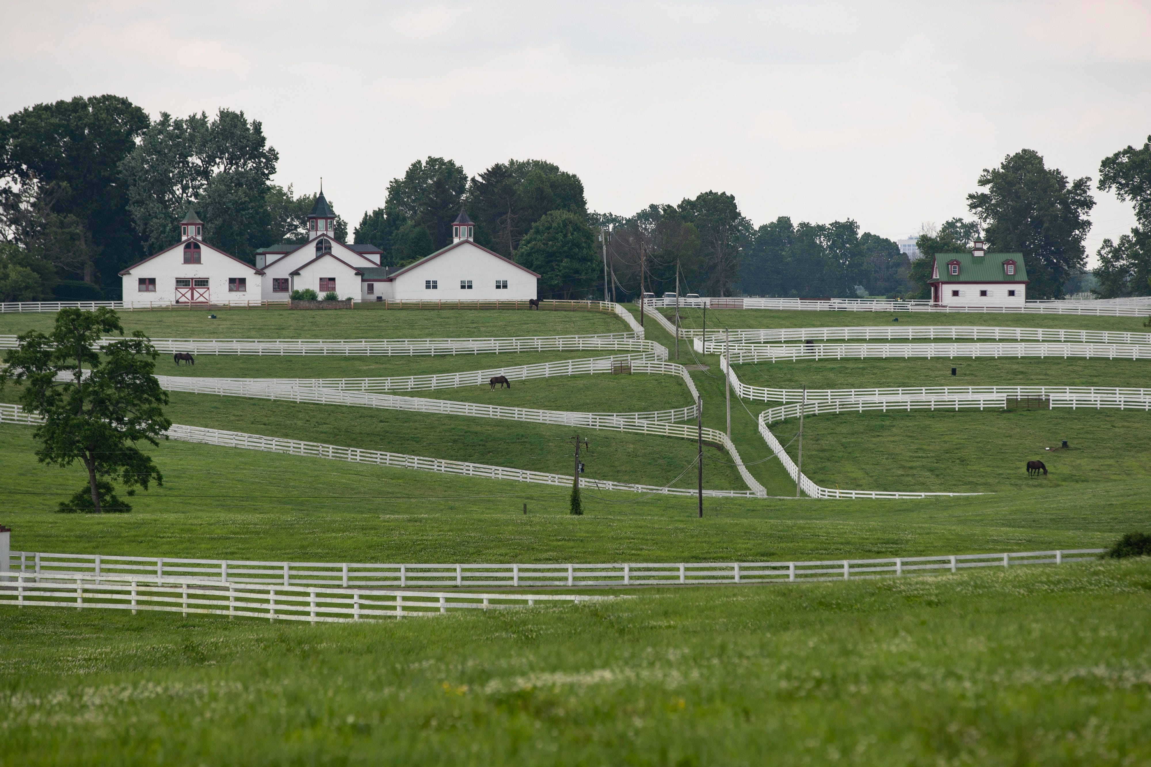 A Courier Journal investigation found that a member of CJNG worked at Lexington, Kentucky's famed Calumet Farm, home to eight Kentucky Derby and three Triple Crown winners.