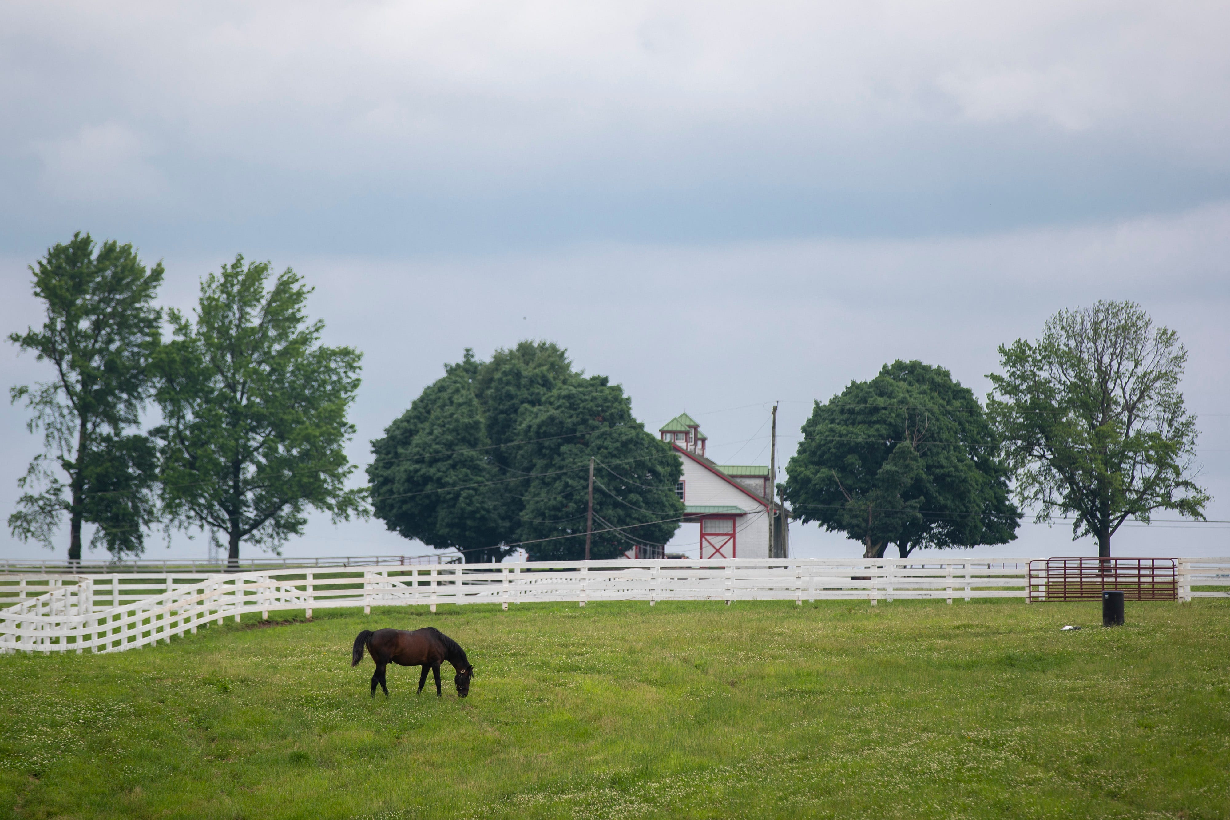 CJNG's Kentucky cell leader led a double life, working hard during the day as a horse groomer at Lexington's famed Calumet Farm, home to Triple Crown and Derby winners. At night, he oversaw the movement of $30 million in drugs.