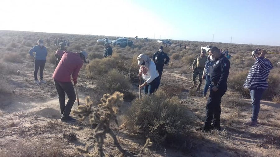 Women with the Mexican group  Searching Mothers of Sonora search for bodies along with state investigators outisde the town of Rocky Point. This photo was uploaded to the group's Facebook page on Oct. 26, 2019.