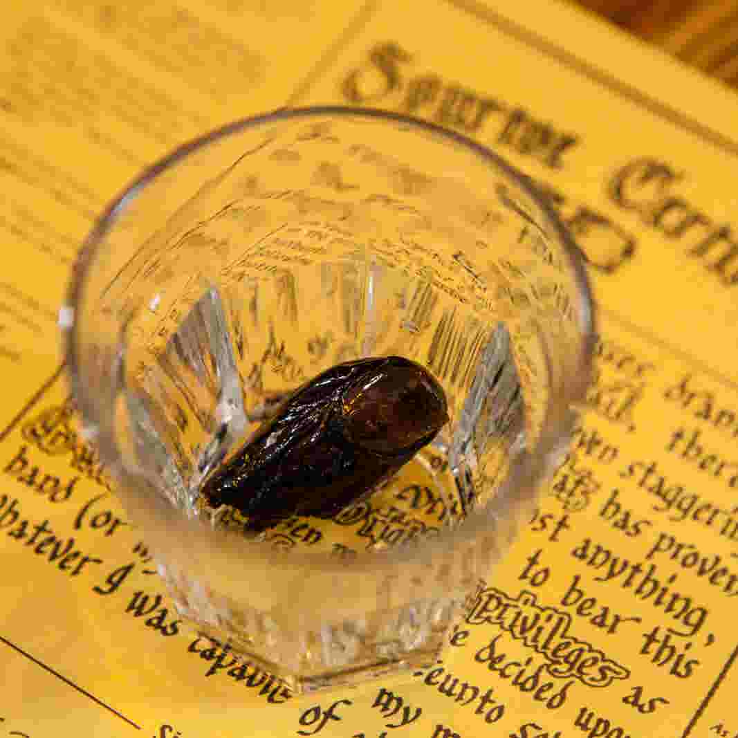 sourtoe cocktail former marine donates toe for legendary cocktail