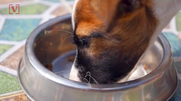 In case you need to evacuate for a wildfire or oth