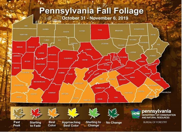 Foliage Chart New England