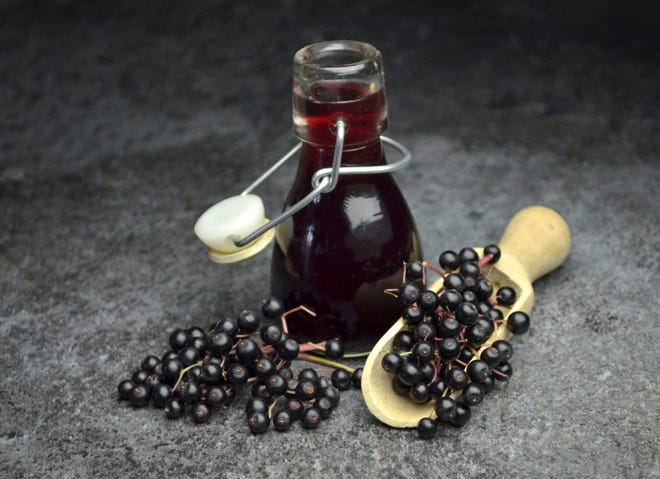 Elderberry tonic.