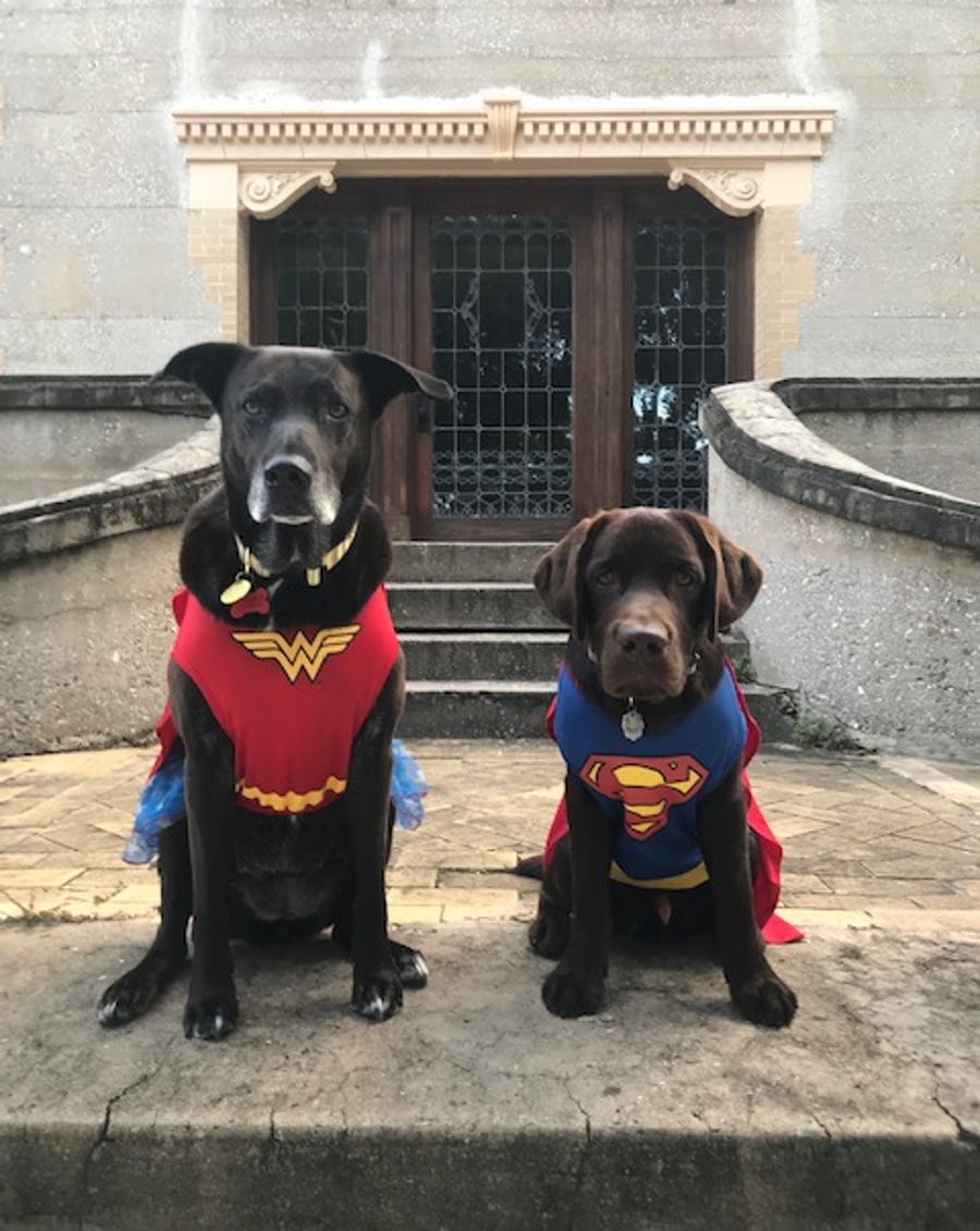 Super heroes Samuel and his big sister Sydney are here to save the day, Short Listers.