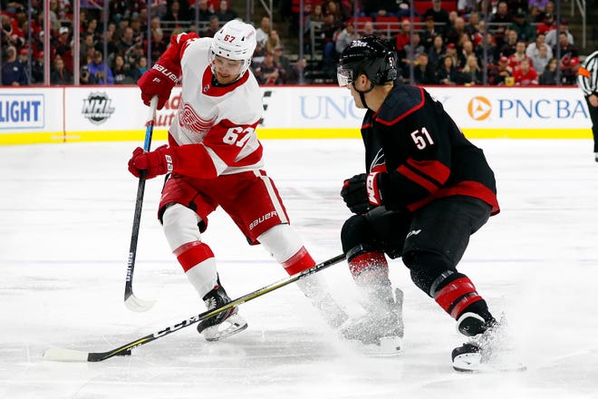 Red Wings forward Taro Hirose and the Carolina Hurricanes' Jake Gardiner vie for the puck during the third period of the Wings' 7-3 loss on Friday, Nov. 2. 2019, in Raleigh, N.C.