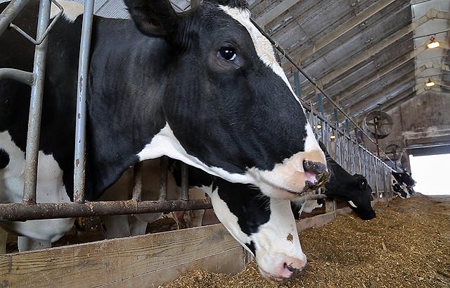 Wisconsin’s dairy farmers have plenty of issues they should be focusing on: daily on-farm business, global trade wars, historically wet weather, unfavorable prices...just to name a few.