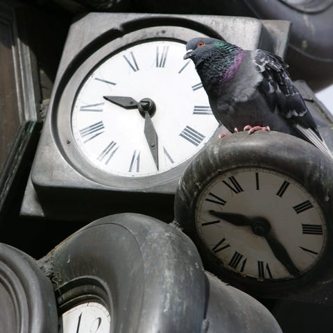 A  sculpture made of clocks is pictured at the Sai