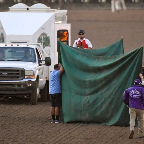 Track workers treat Mongolian Groom after the Bree