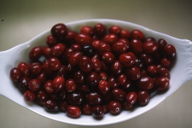 Fresh cranberries are at peak sales in November before Thanksgiving. Native Americans picked wild cranberries for fresh fruits and to eat with dried deer meat.