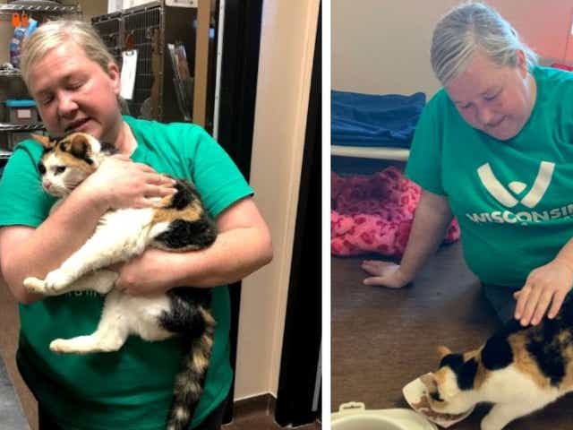 Door County Humane Society Employee Reunites With Lost Cat At Clinic