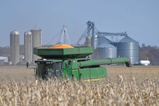Corn fields around Richland and Crawford counties were filled with trucks and farm machinery throughout the week as the fall harvest nears its completion.