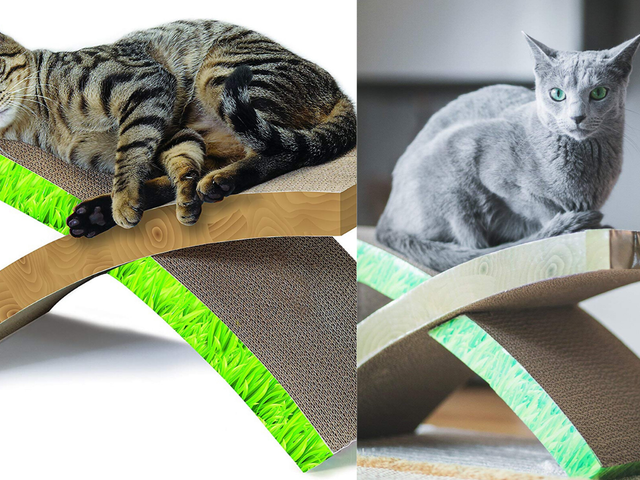 Best Cat Gifts 2019 The 20 Best Gifts For Cat Lovers In 2019
