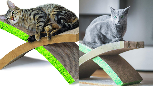 Best Cat Gifts 2019 The 20 Best Gifts For Cat Lovers In 2019