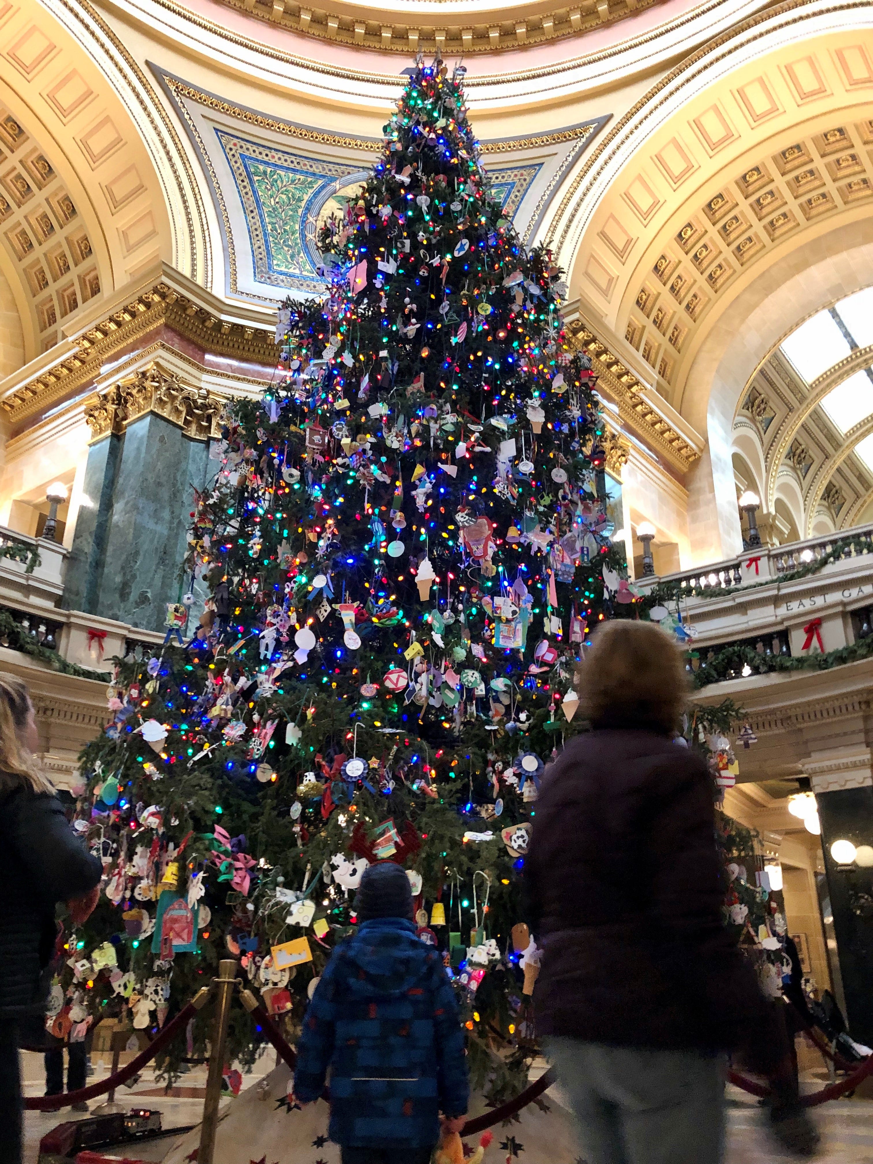 Wisconsin State Christmas Tree 2022 Evers Seeks Science-Related Ornaments For Renamed Capitol Holiday Tree