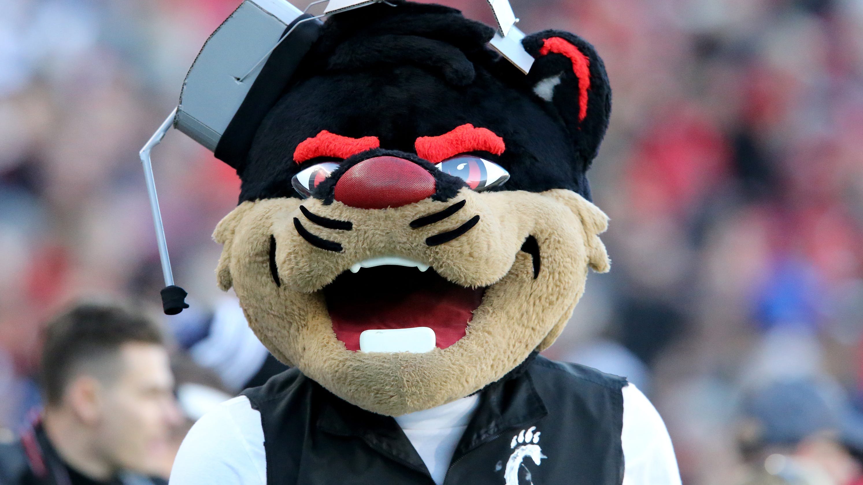 cincinnati bearcat mascot stiff arms  graders