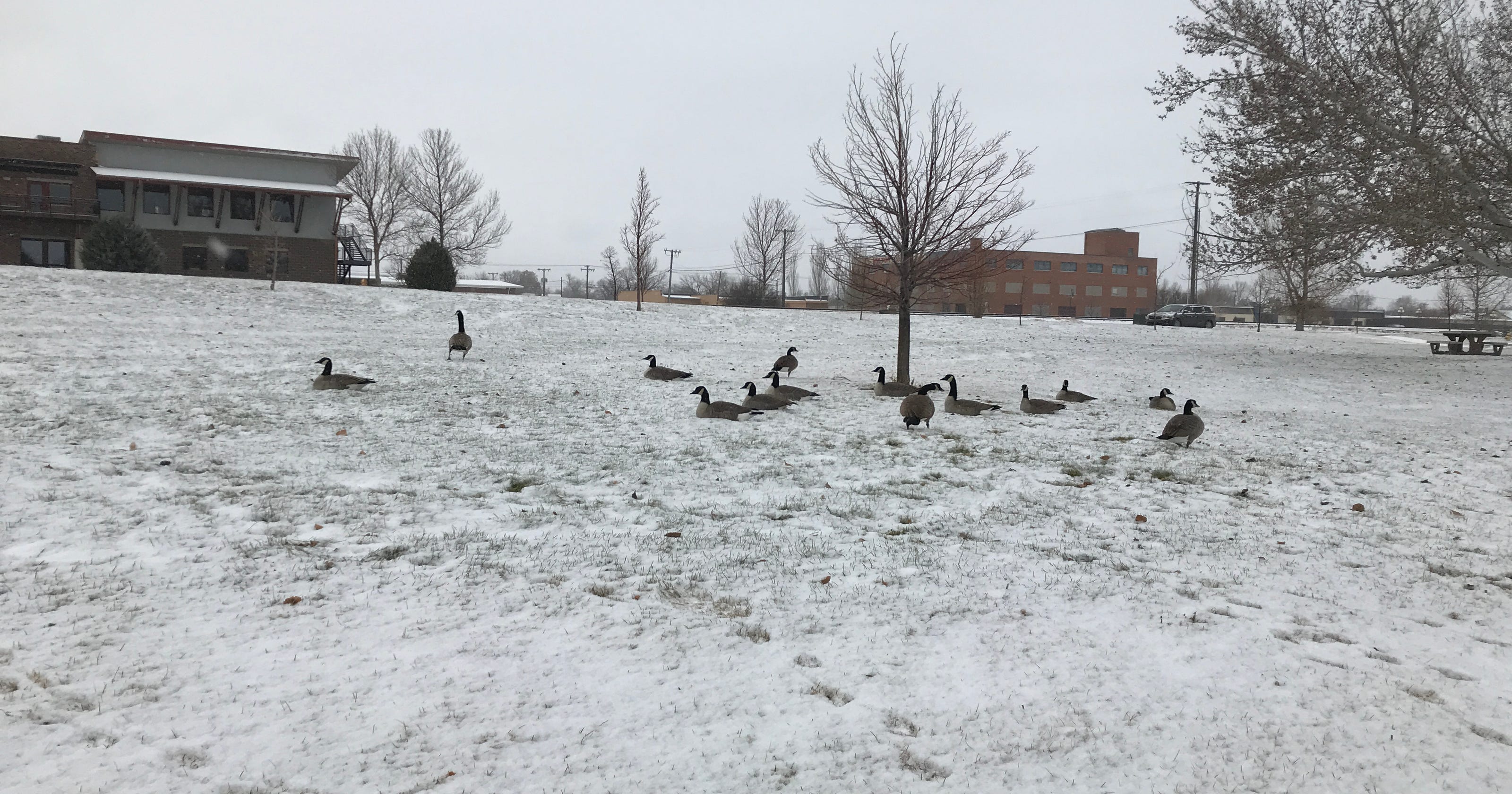 Northcentral Montana Hit By Cold Front Low Temperatures