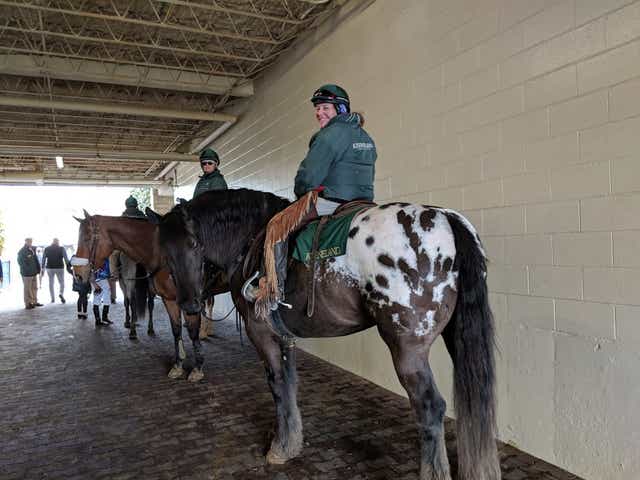The Eighth Pole Harley The Escort Pony A Horse And A Half