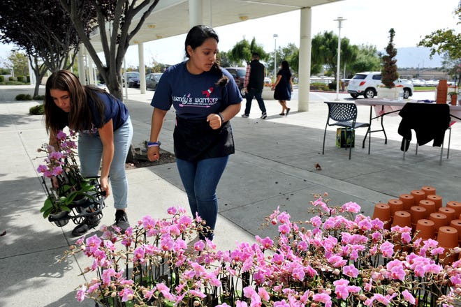 Haley Alvarez and Ester Mendez-Maldonado organize orders for orchids during the Everett Alvarez Interact Club's Wendy Baker Day fundraiser at Natividad Oct. 11, 2019.