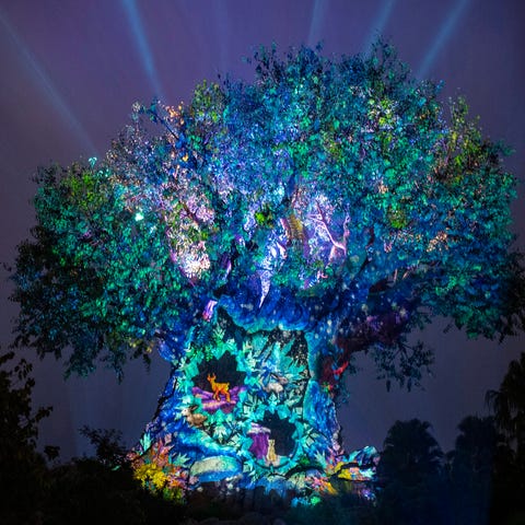 The Tree of Life, the stunning icon for Disney's A