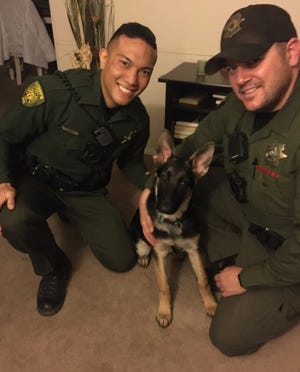 Washoe County Sheriff’s deputies Asa Aninao and Nicholas Ediss were able to locate “Little Dude” and return him to his rightful owner.