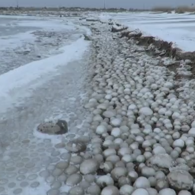 Lake Michigan ice balls appear on beach at Holland State Park