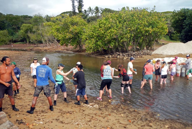 New Mexico State University students work on Hawaii's Paepae o He’eia fish pond restoration during their 2016 Sundt Seminar trip to study the effects of climate change on coral reefs. Next spring, Sundt Seminar students will study food and culture in the Southwest.
