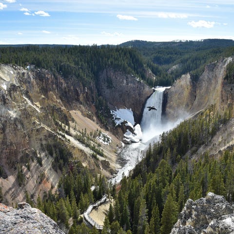 The Grand Canyon of the Yellowstone National Park 